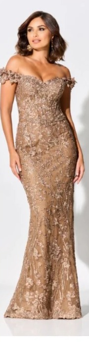 Bronze lace floor-length gown